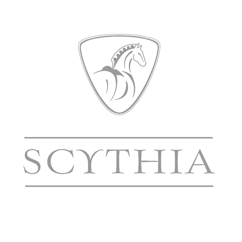 Scythia Sattelsystem